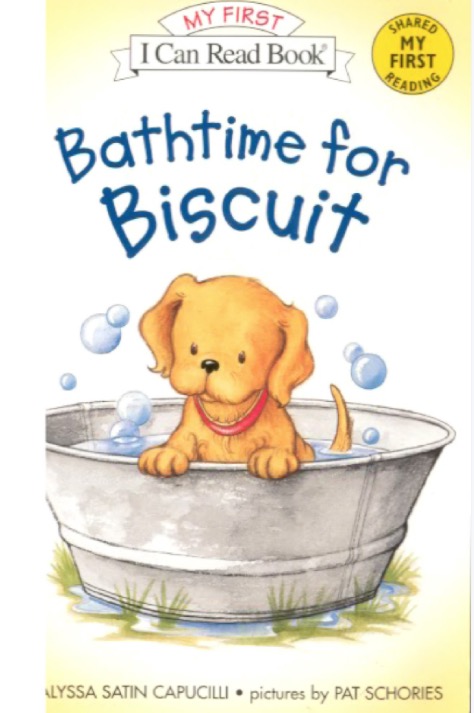 BISCUIT 封面