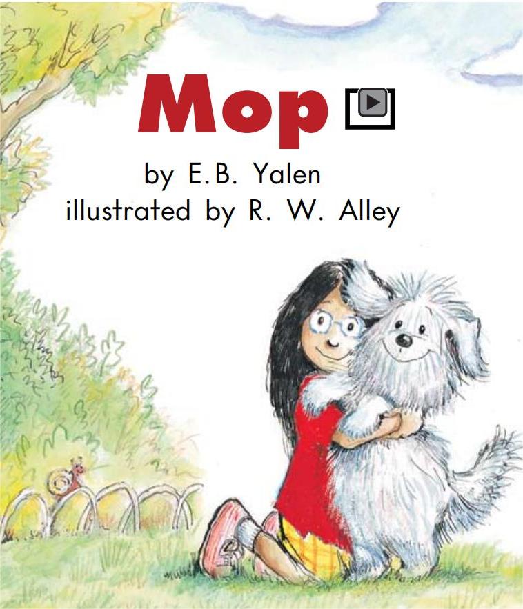 Mop