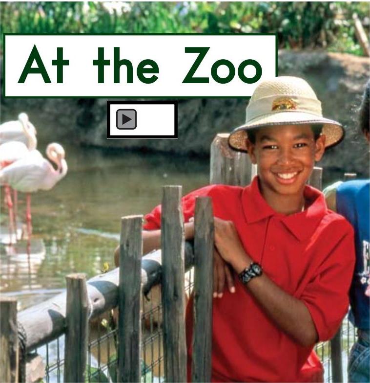 At the zoo