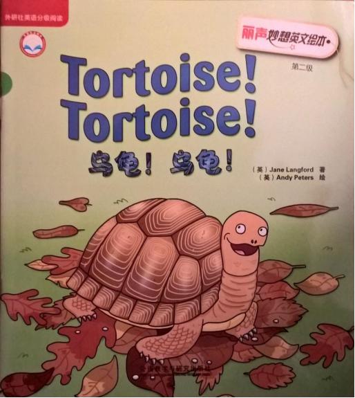 Tortoise！Tortoise！
