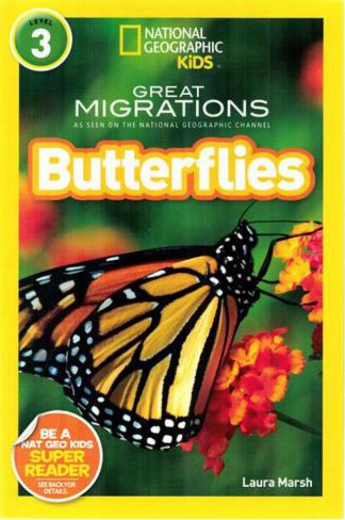 Butterflies
