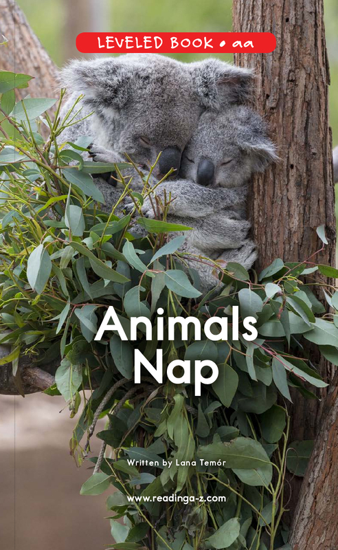 Animals nap