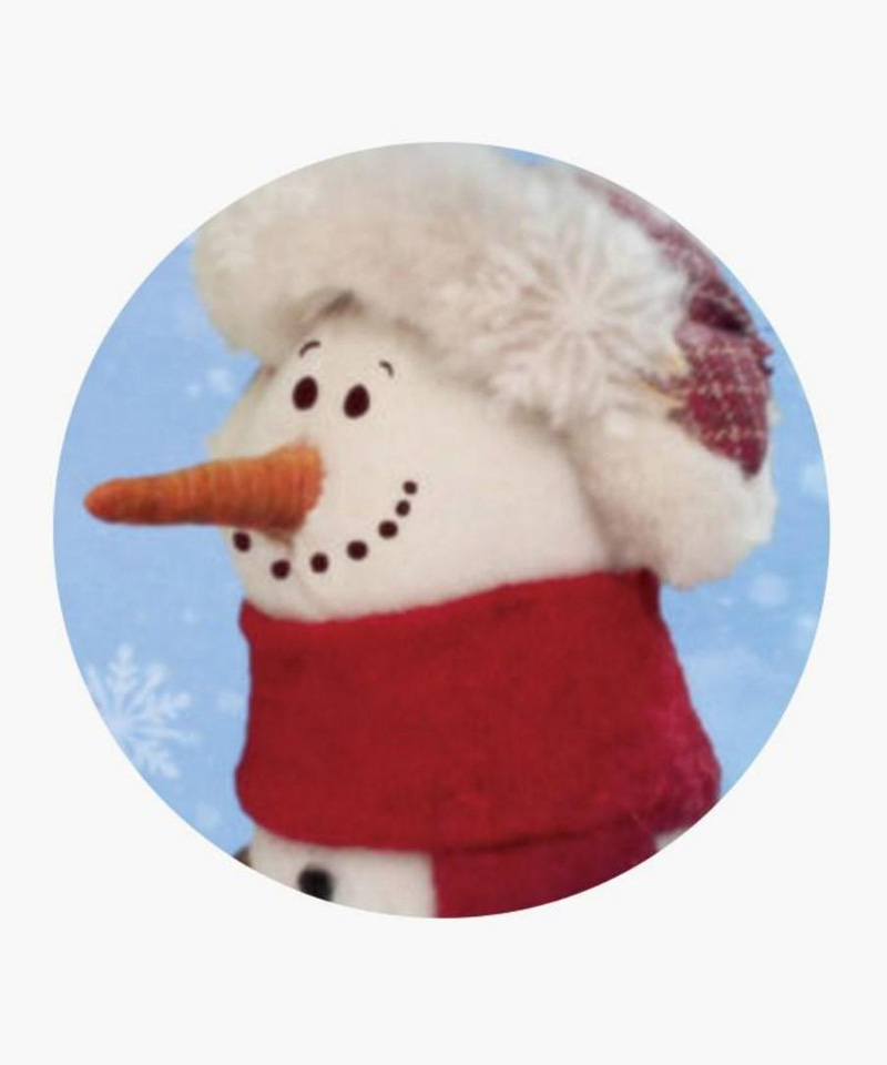 Goodbye, Snowman