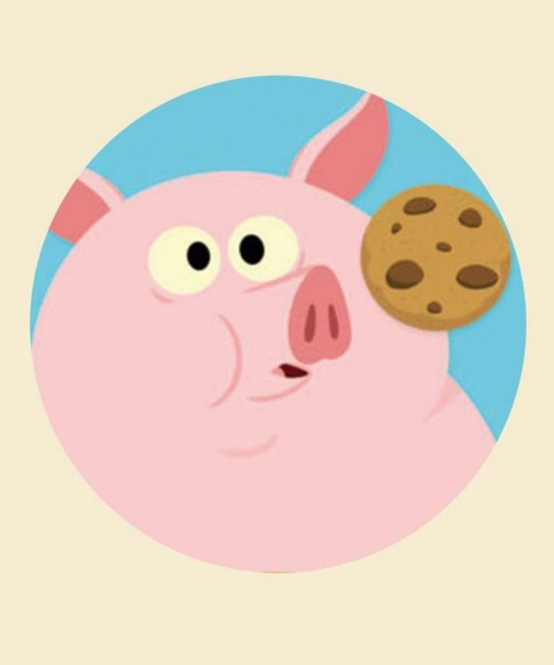 Who Took The Cookie
