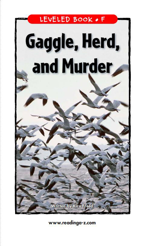 Gaggle,Herd,and Murder