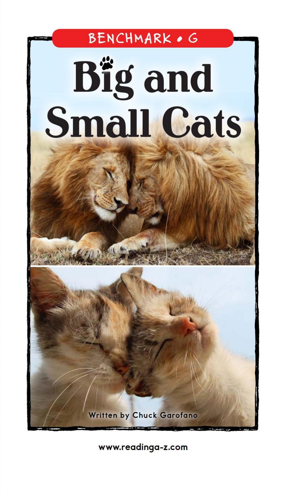 Big and Small Cats