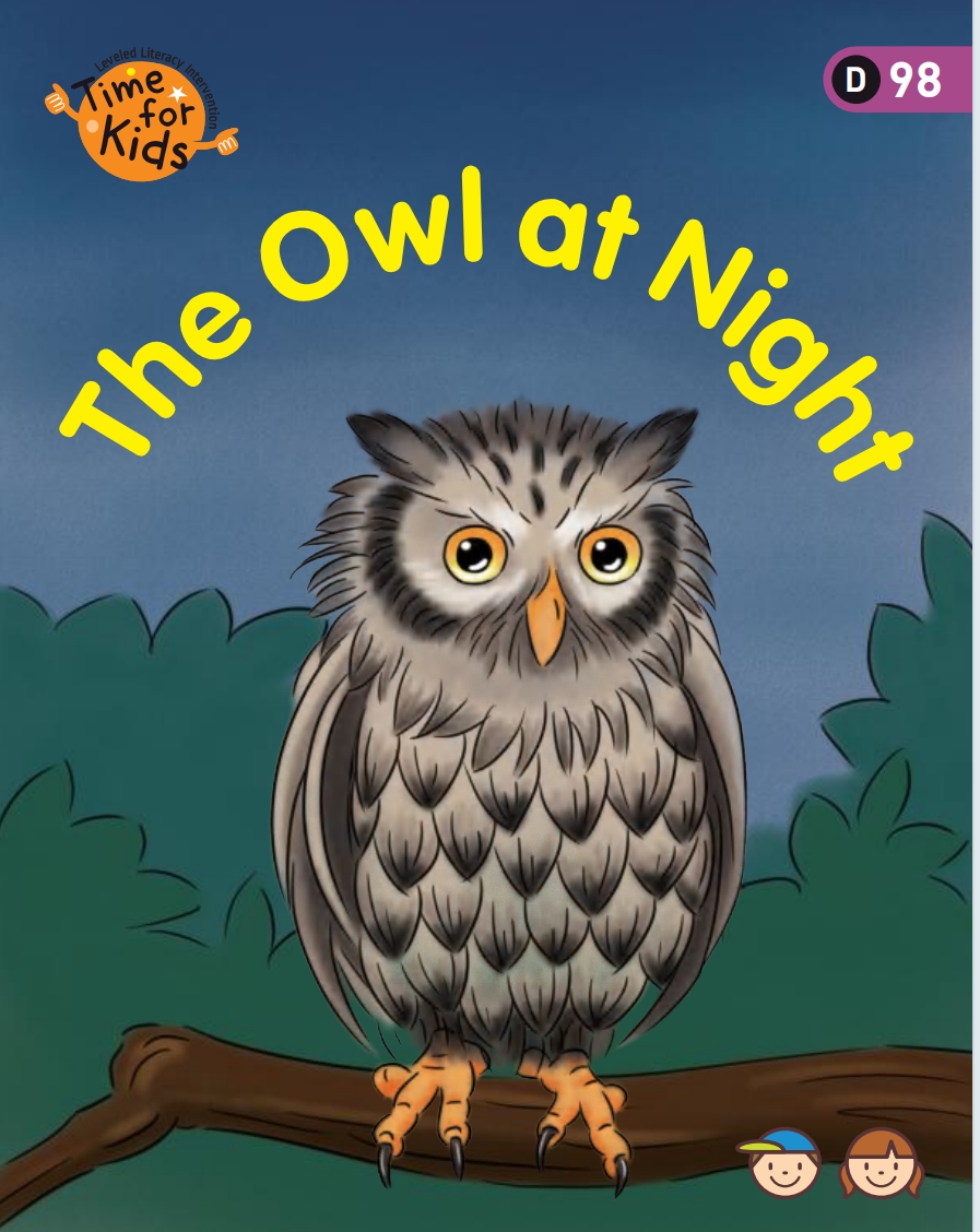 The owls at night