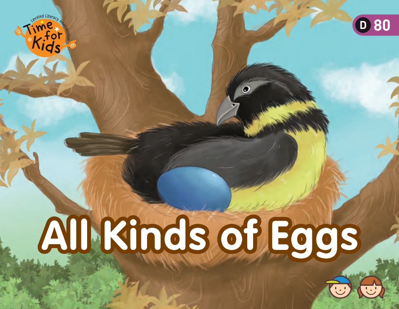 All kinds of eggs