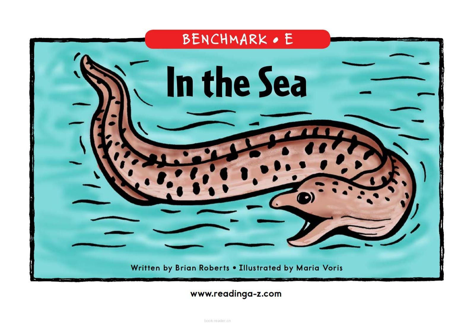 In the Sea