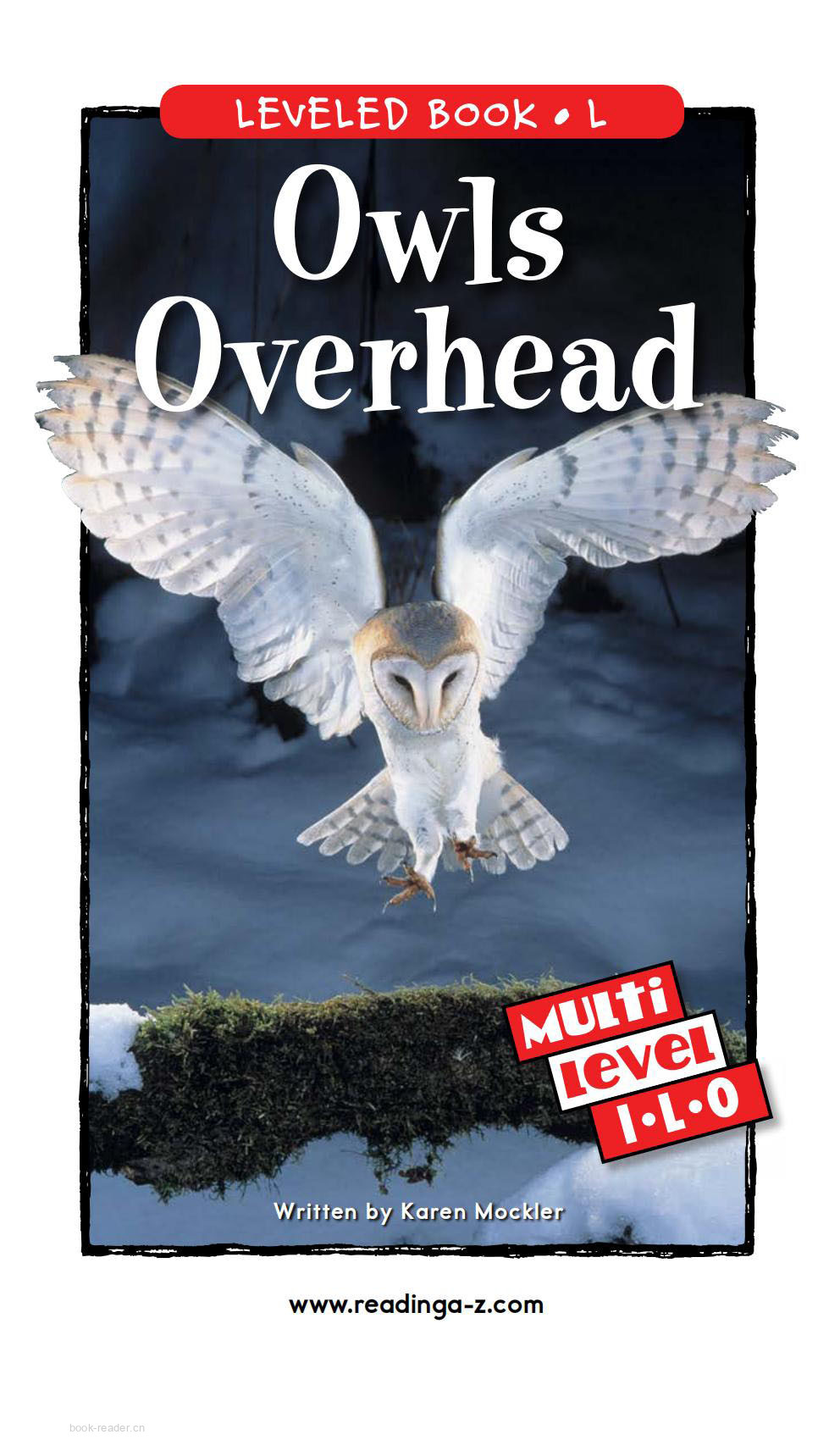 Owls Overhead