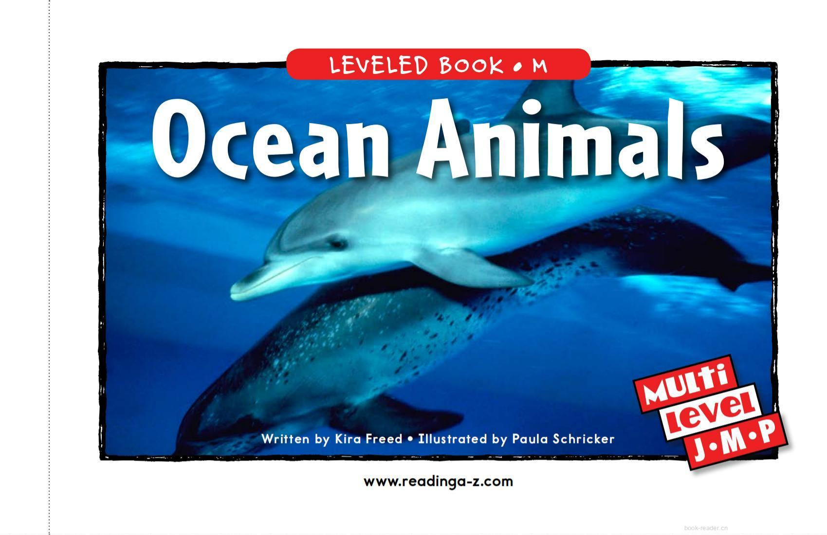 Ocean Animals
