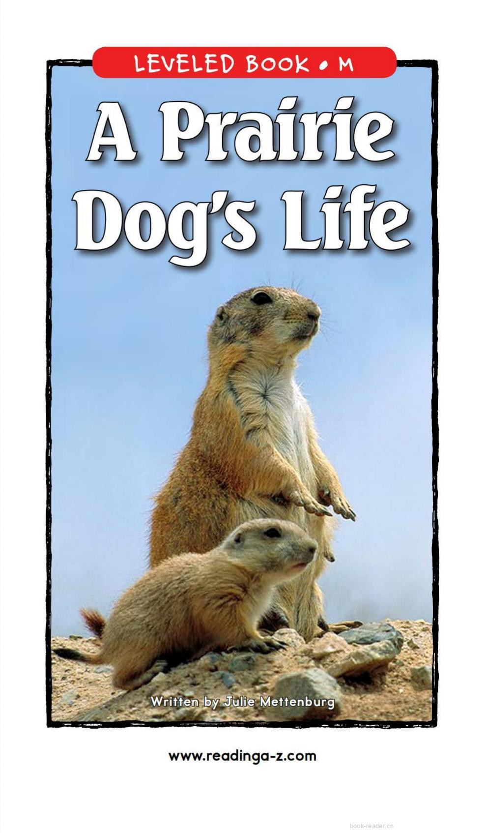 A Prairie Dog's Life