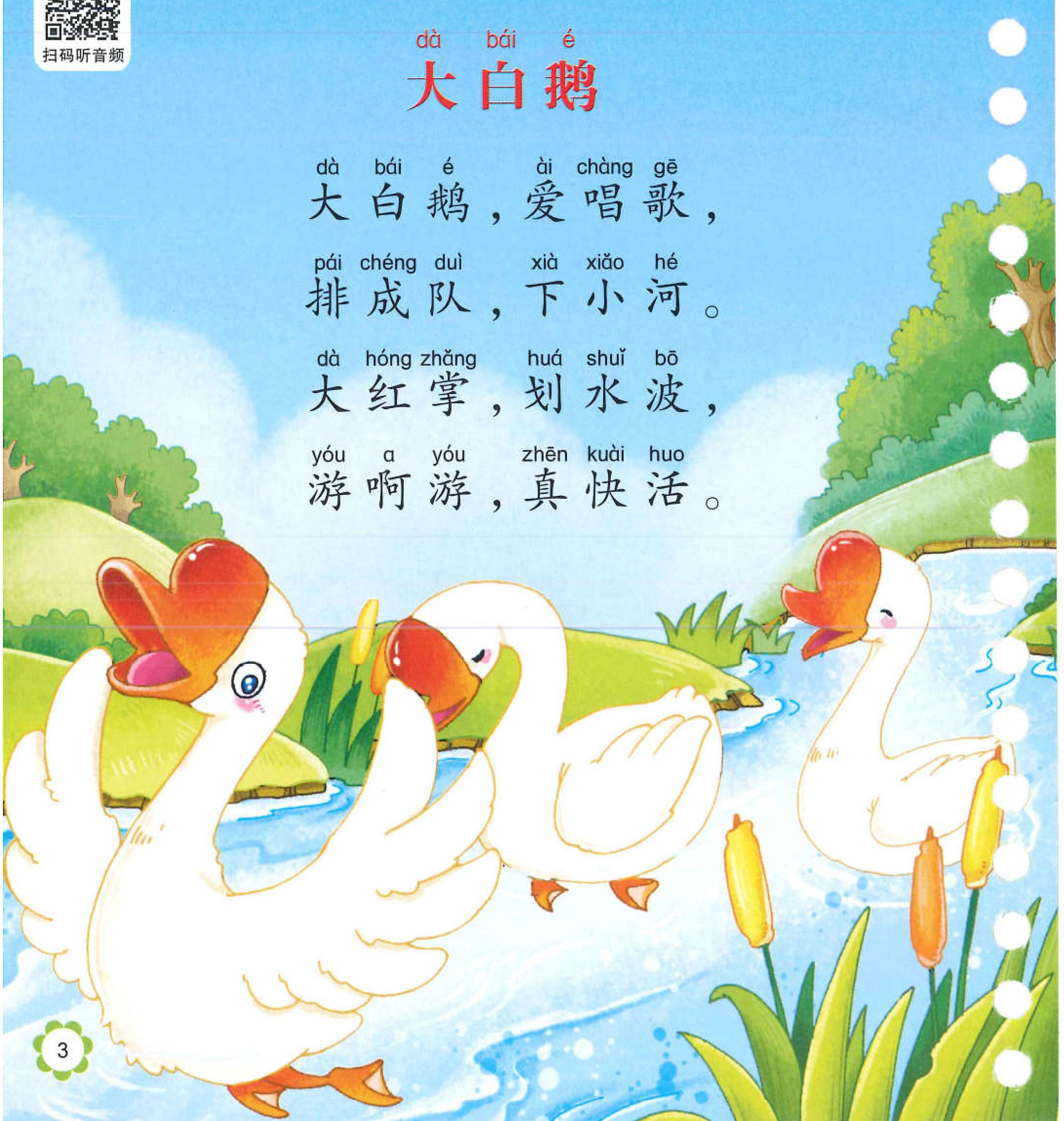 大白鹅
