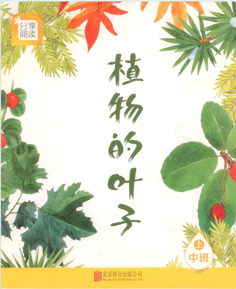 植物的叶子