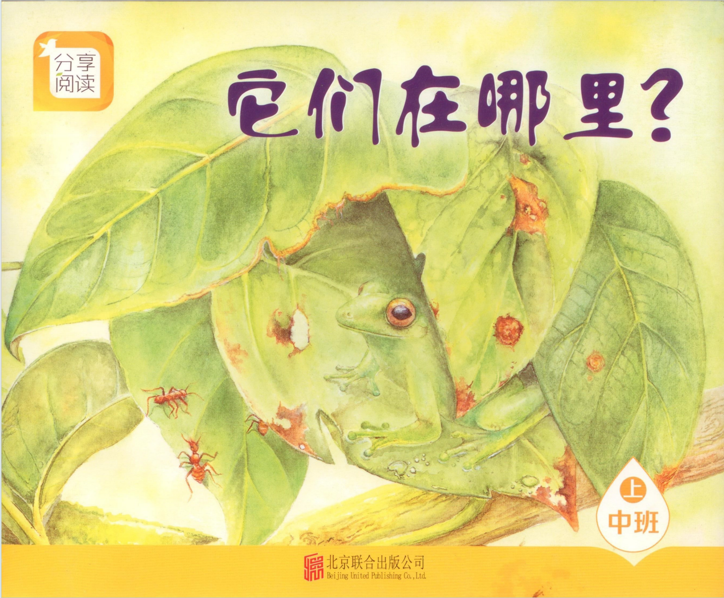 它们在哪里