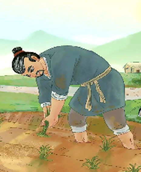 拔苗助长