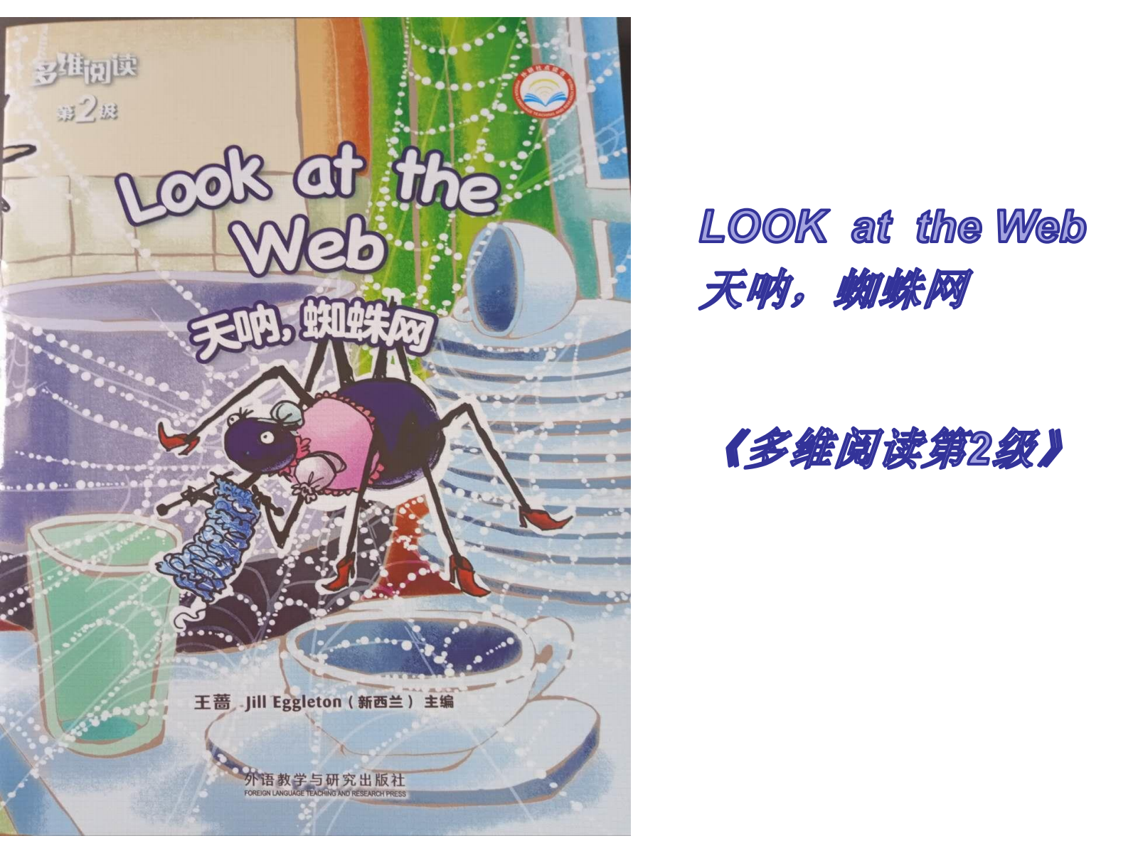 2Look at the Web天呐，蜘蛛网