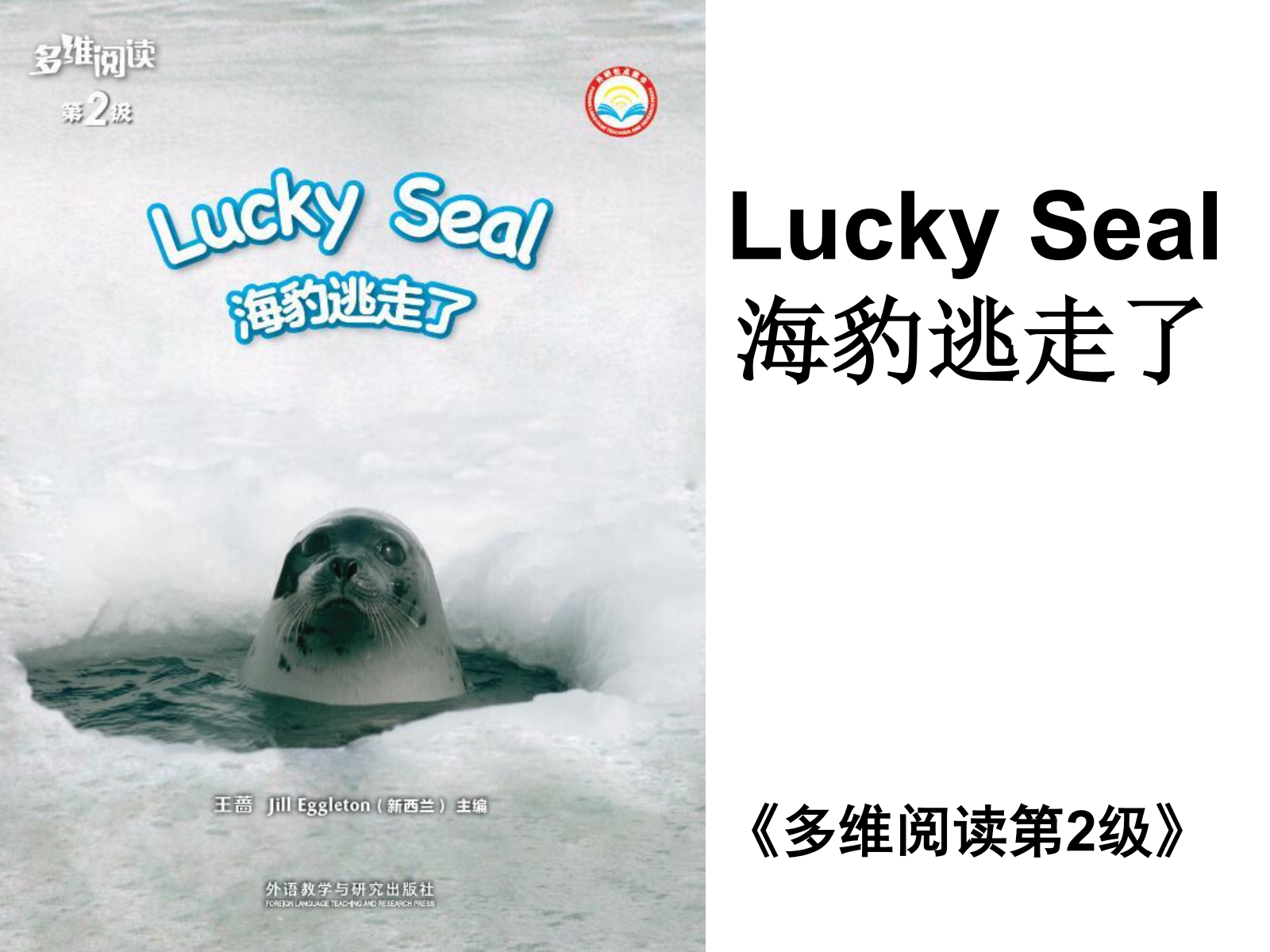 12 Lucky Sea 海豹逃走了