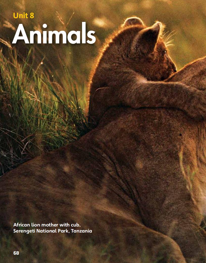 8 Animals