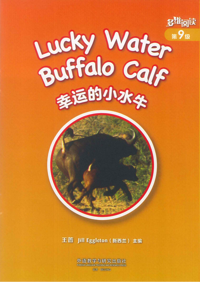 Lucky Water Buffalo Calf