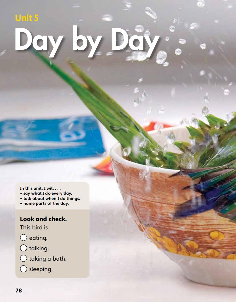 5 Day by Day