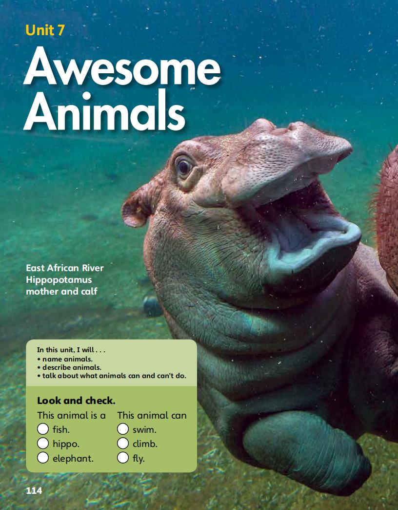 7 Awesome Animals