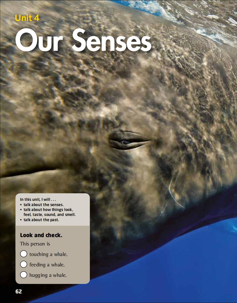 4 Our Senses
