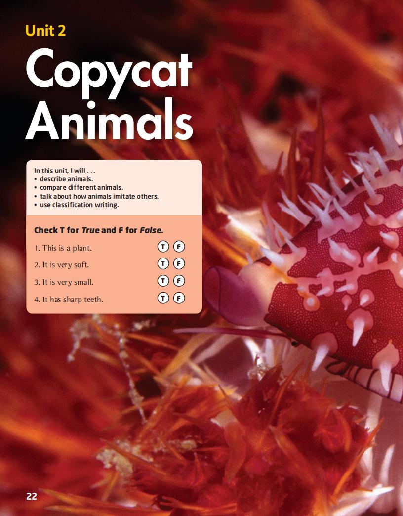 2 Copycat Animals