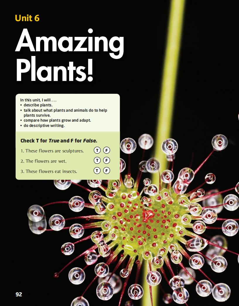 6 Amazing Plants!