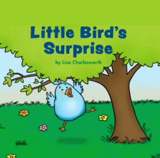 Little Bird's Surprise