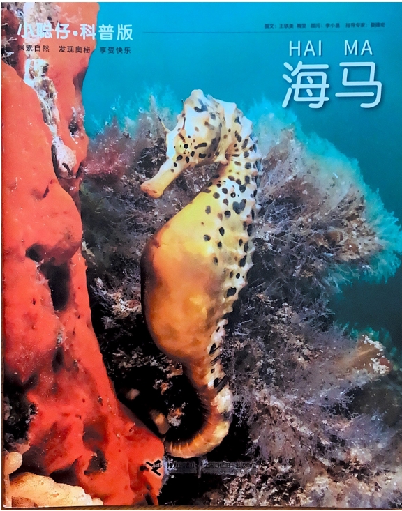 海马