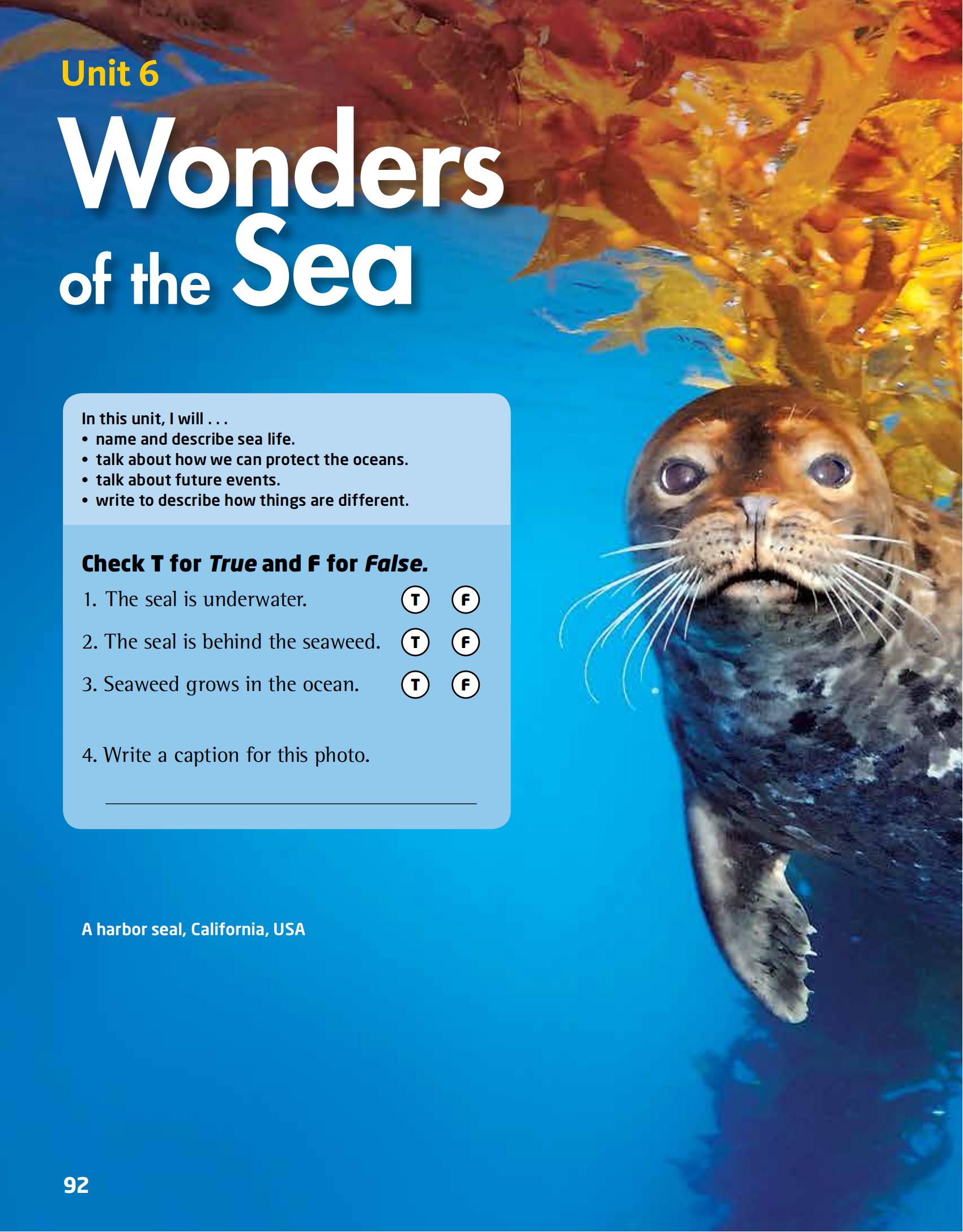 6 Wonders of the Sea