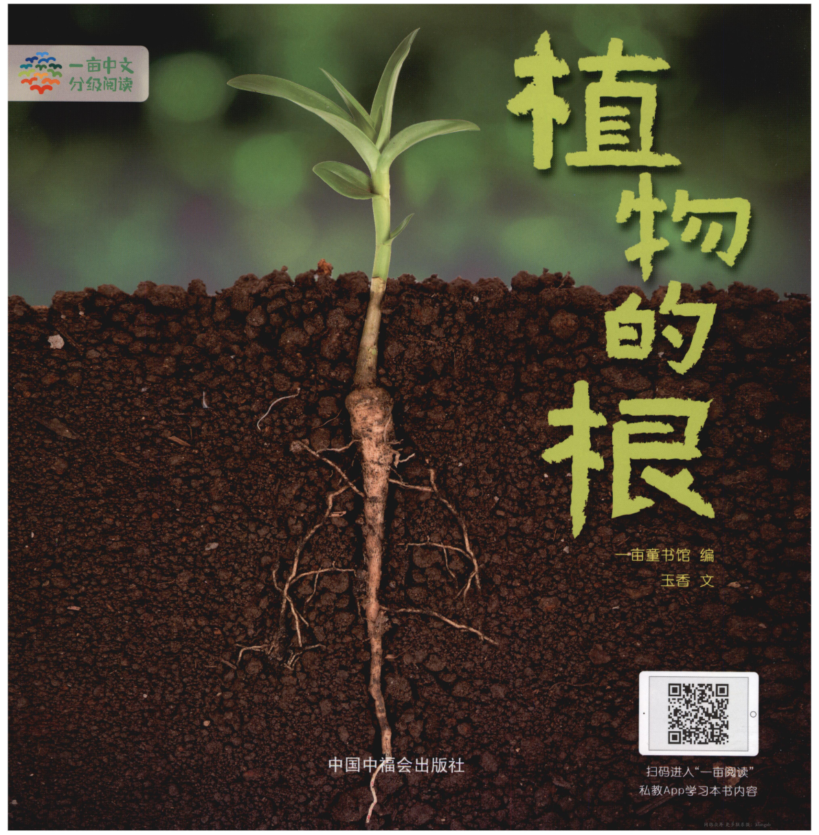 植物的根