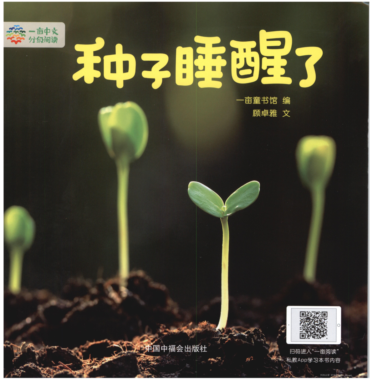 种子睡醒了