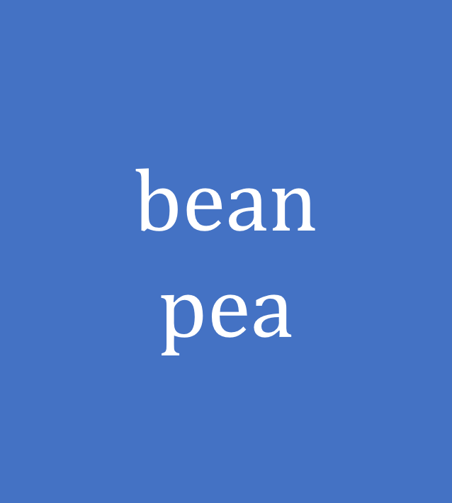 green bean