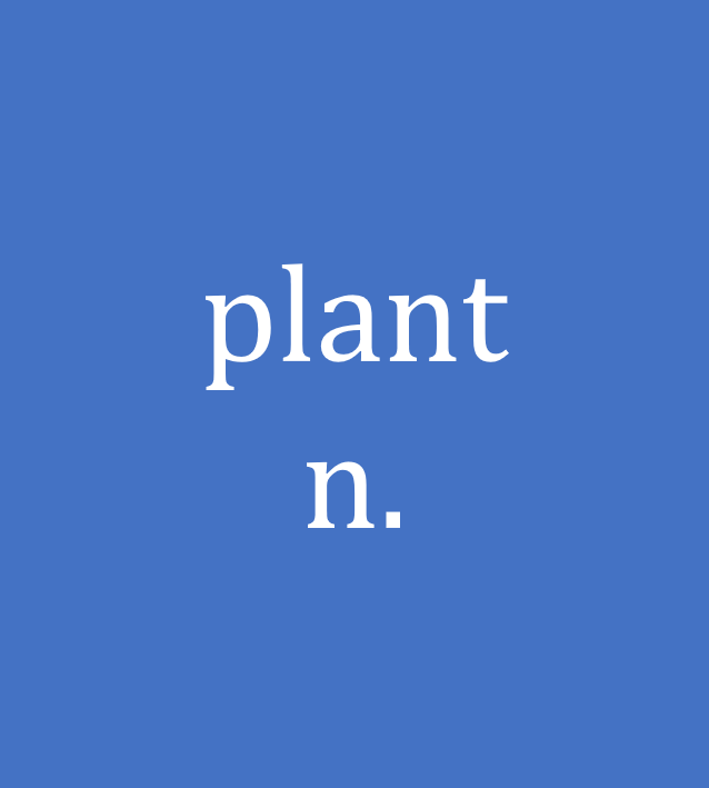 plant