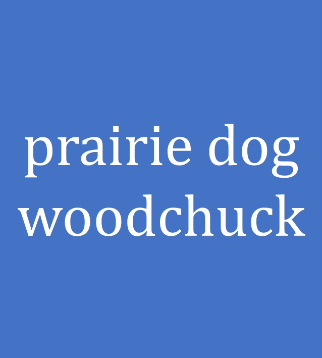prairie dog