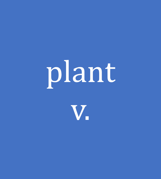 plant