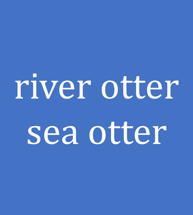 river otter