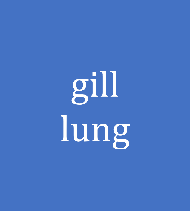 gill