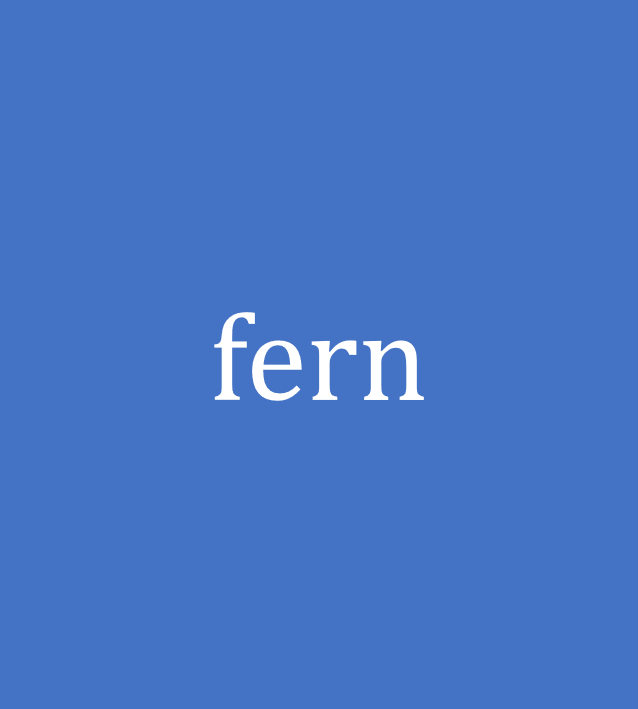 fern