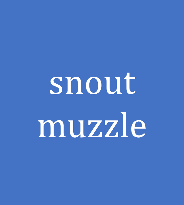 snout