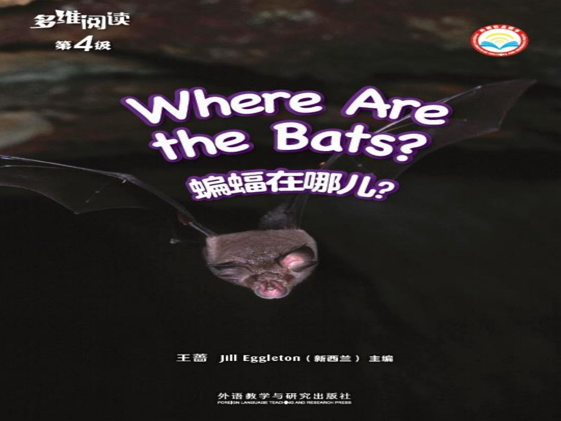 Where are the bats