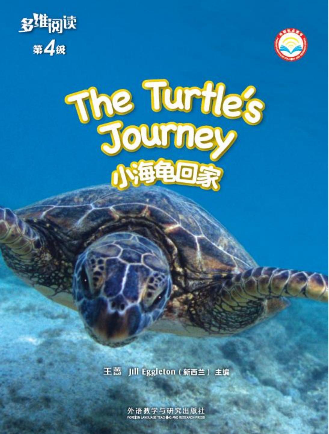 The Turtle's Journey