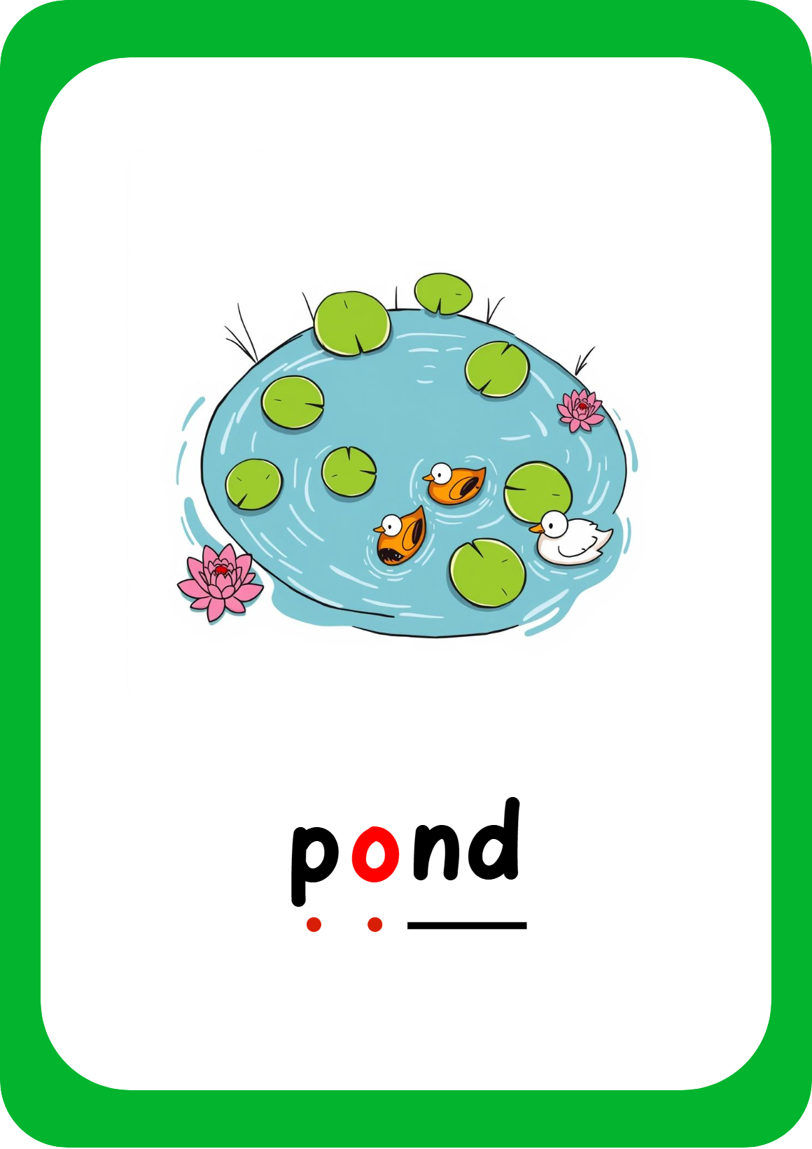 Pond life