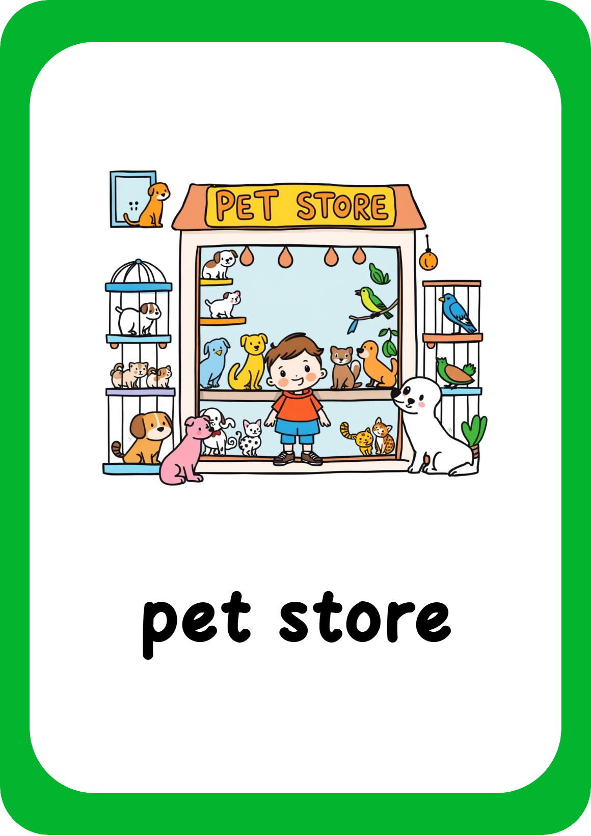 26 The pet store