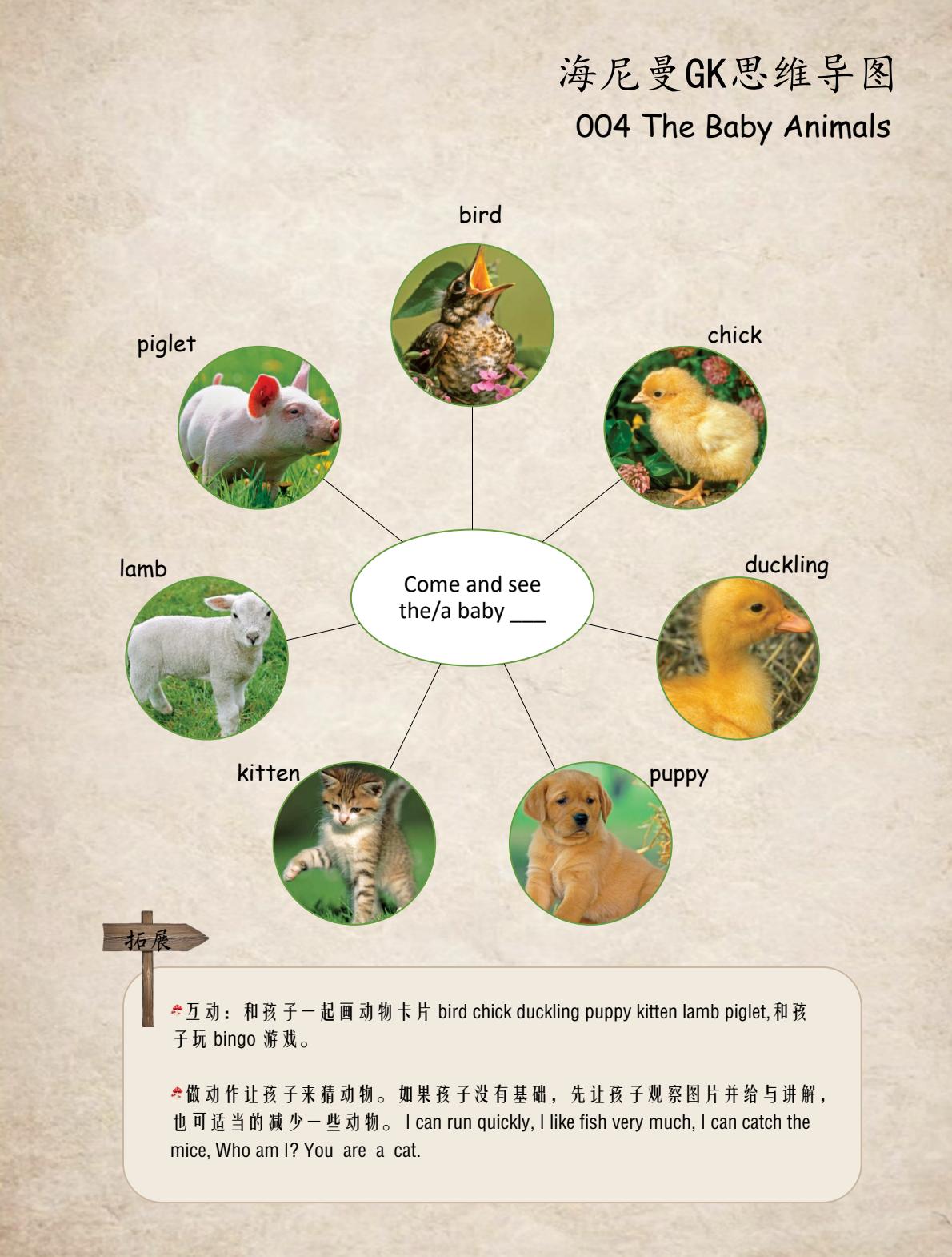 Baby Animals