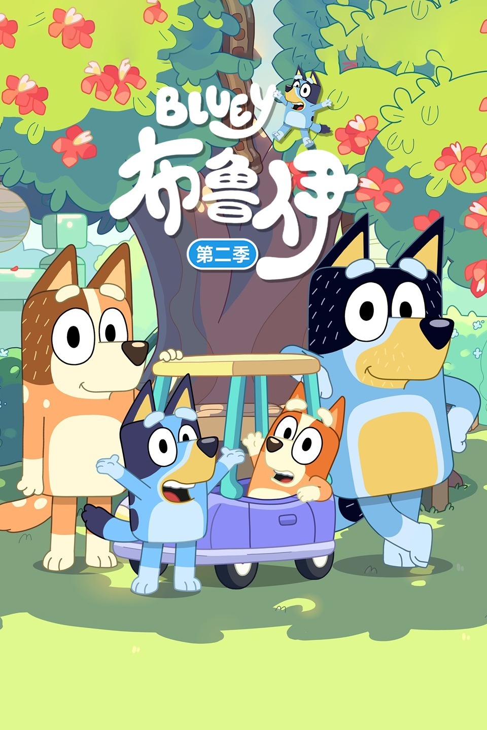 布鲁伊(第二季)