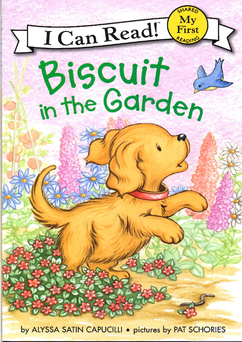 Biscuit in the Garden