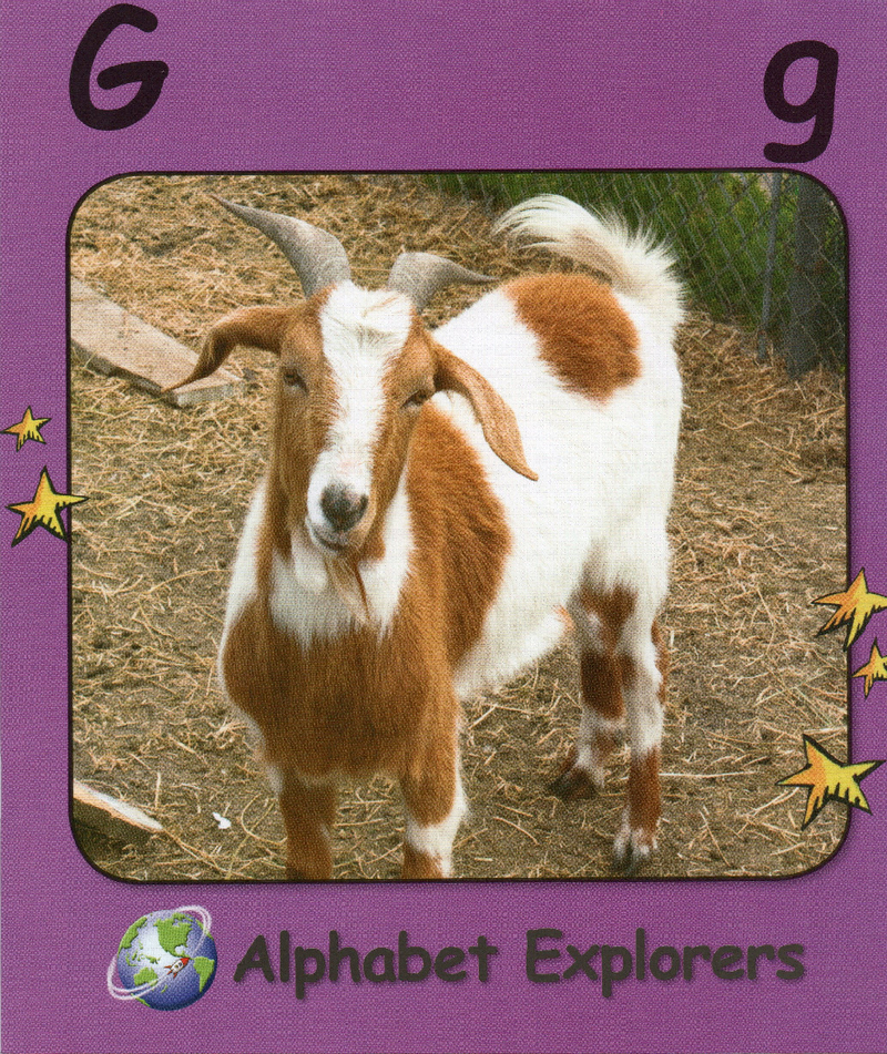G